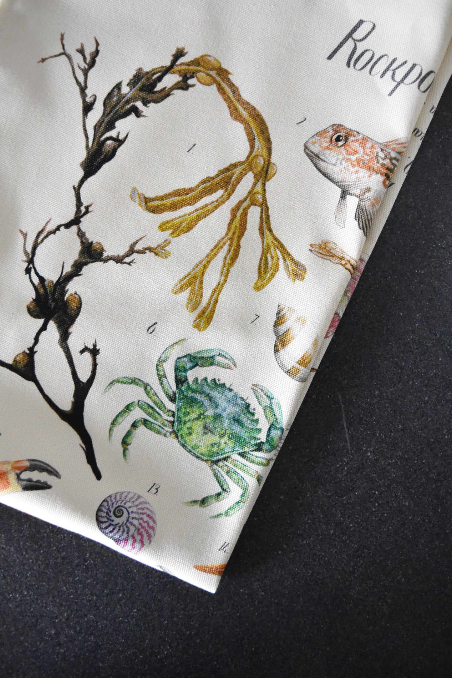 Organic Cotton Rockpool Poster Tea Towel