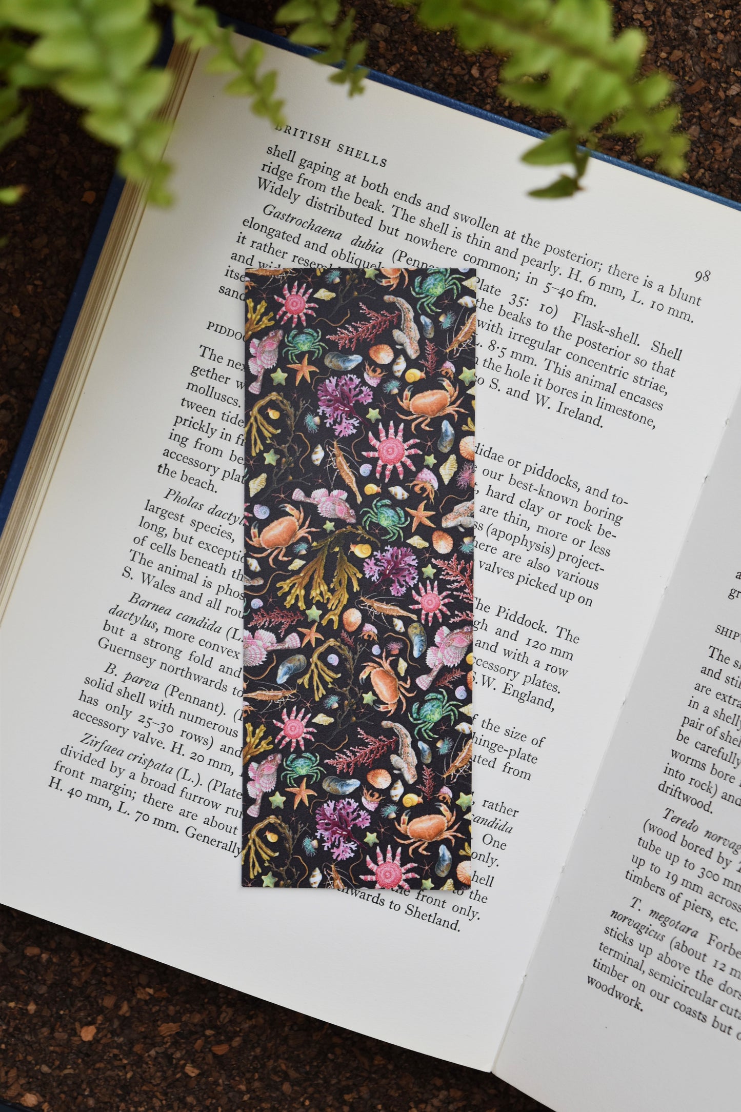 Recycled Black Rockpool Bookmark