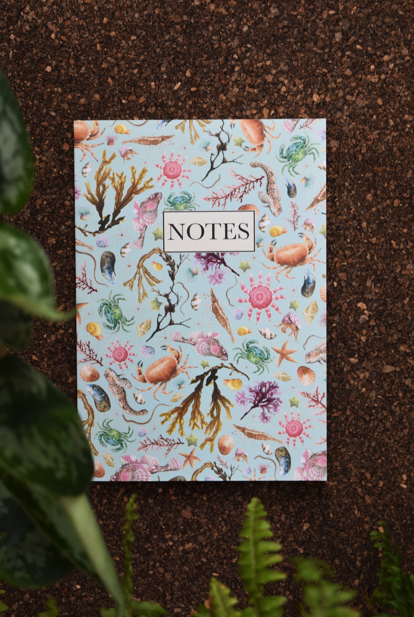 Recycled Rockpool Notebook