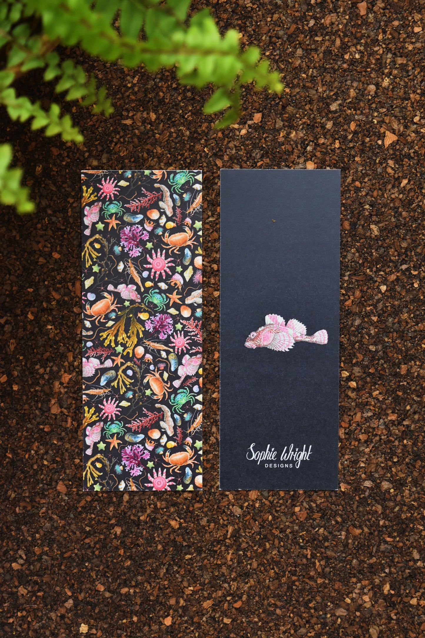 Recycled Black Rockpool Bookmark
