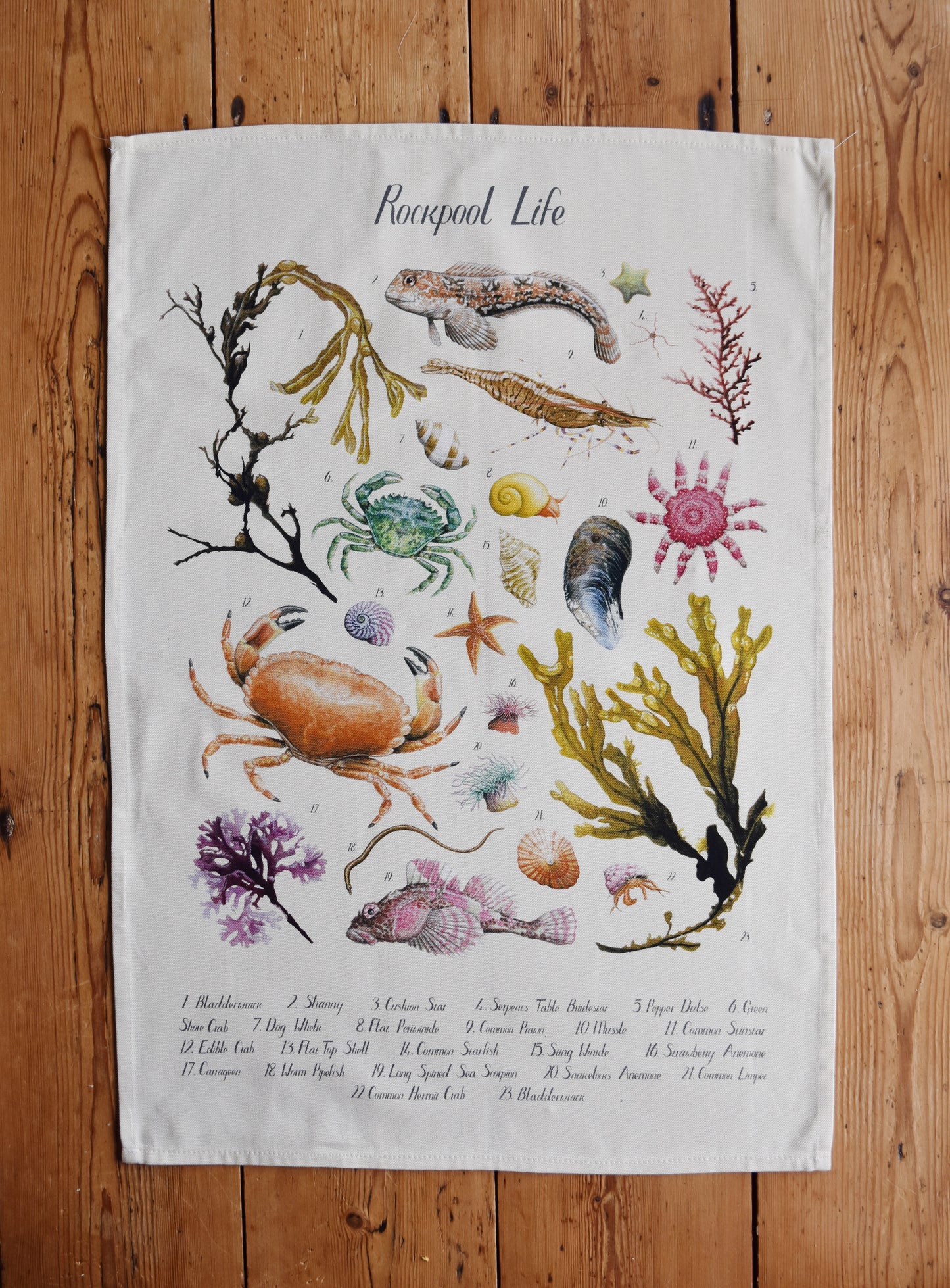 Organic Cotton Rockpool Poster Tea Towel