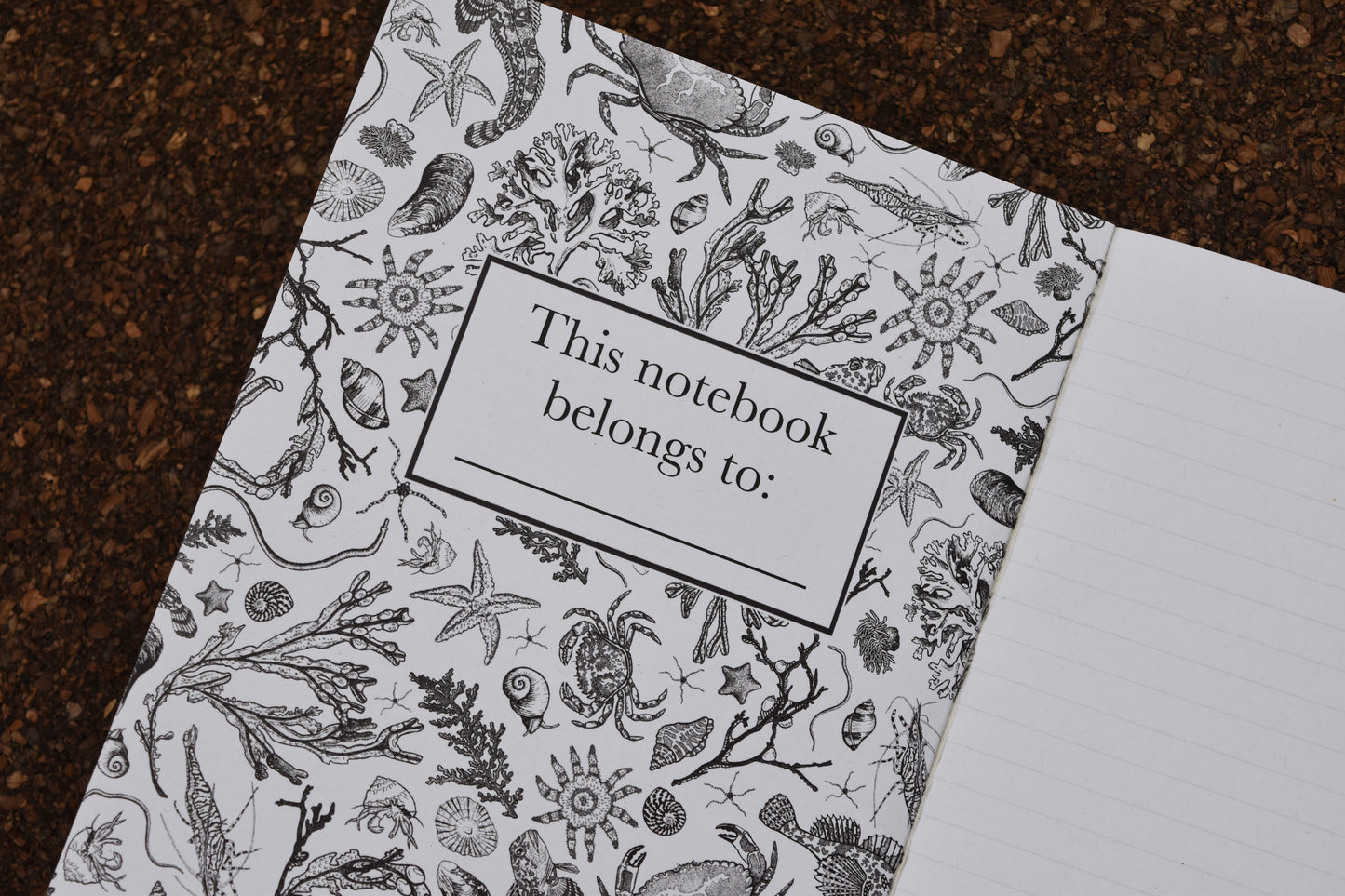 Recycled Rockpool Notebook