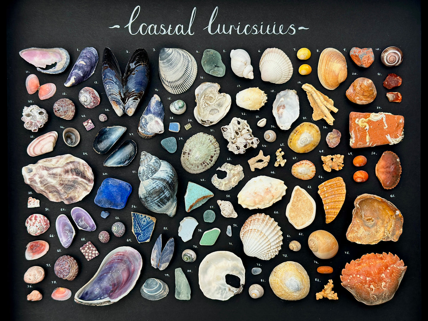 Extra Large Black Curiosity Frame 🌈