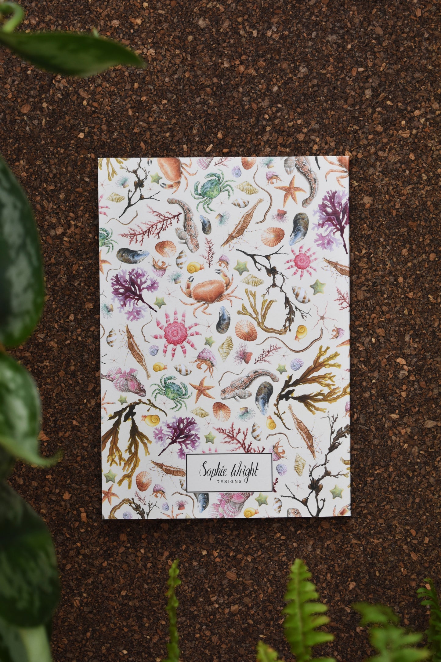 Recycled Rockpool Notebook