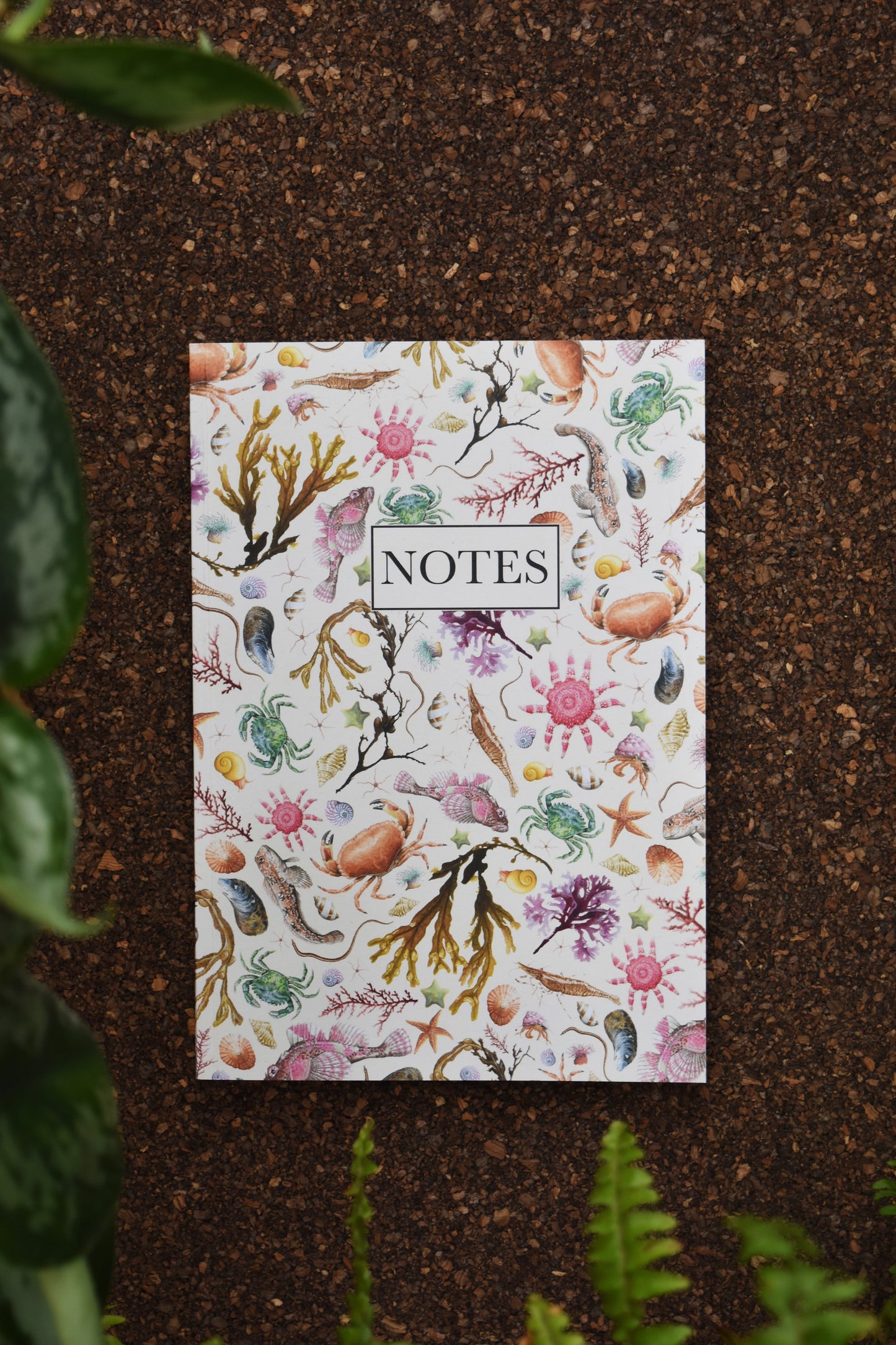 Recycled Rockpool Notebook