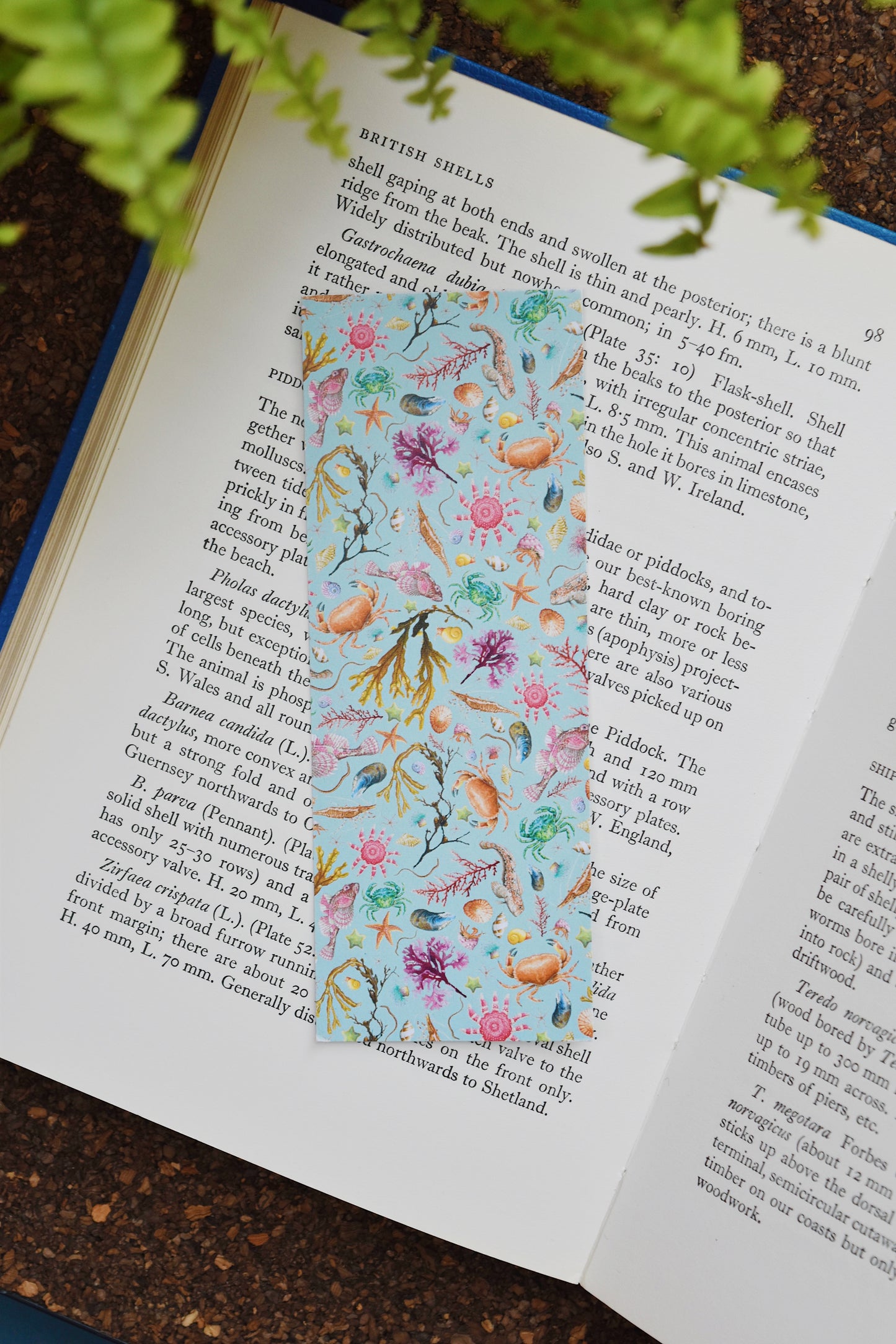 Recycled Duckegg Rockpool Bookmark