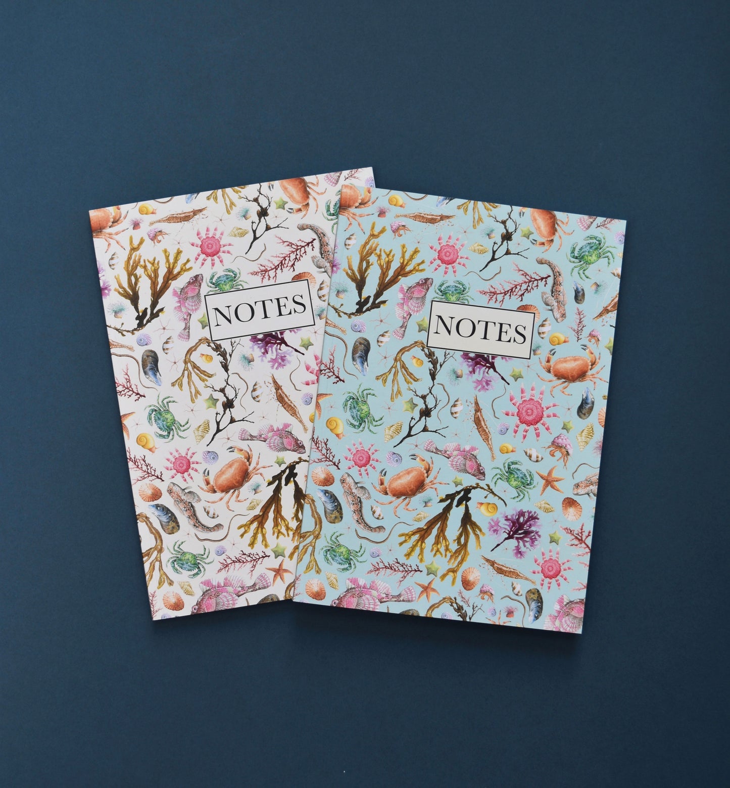 Recycled Rockpool Notebook