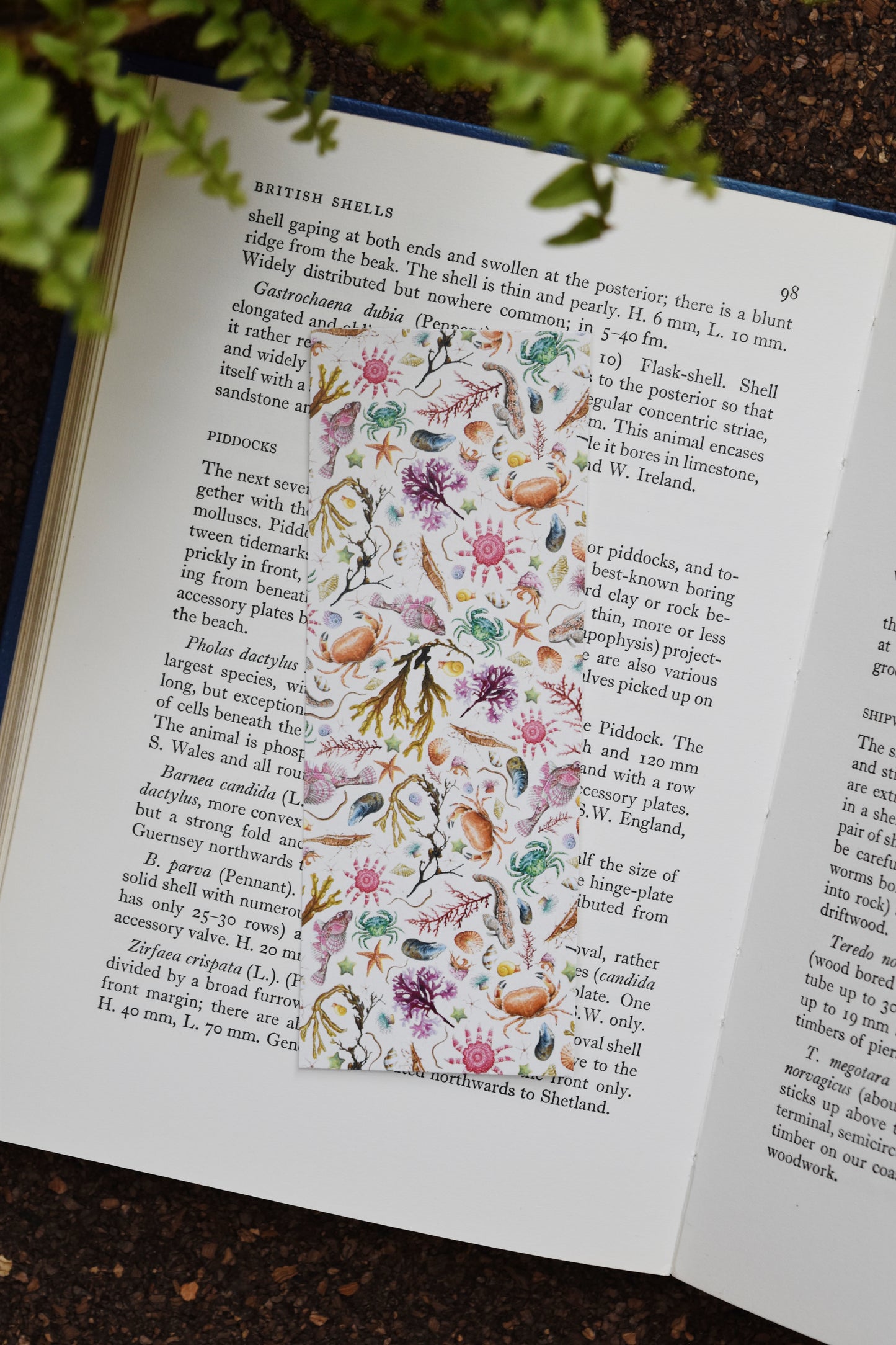 Recycled Cream Rockpool Bookmark