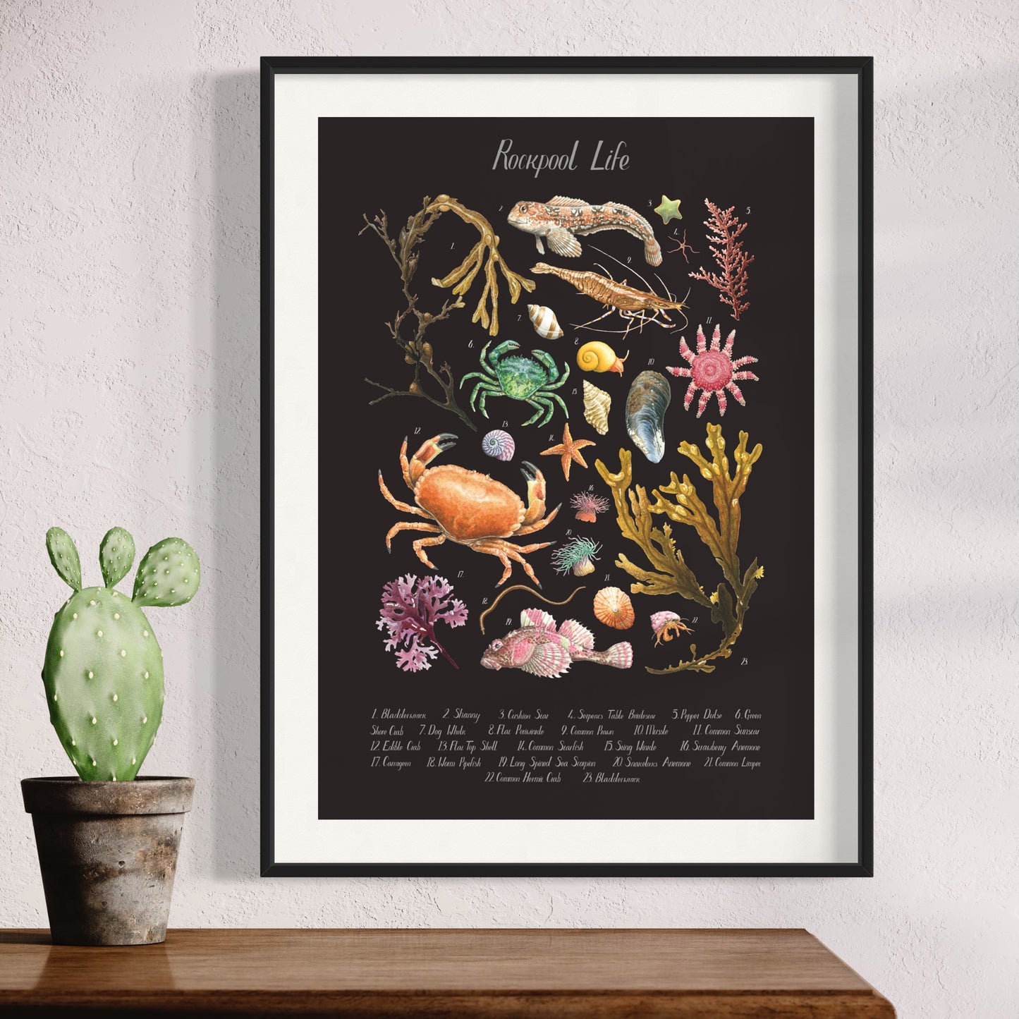 Rockpool Poster - Black Edition