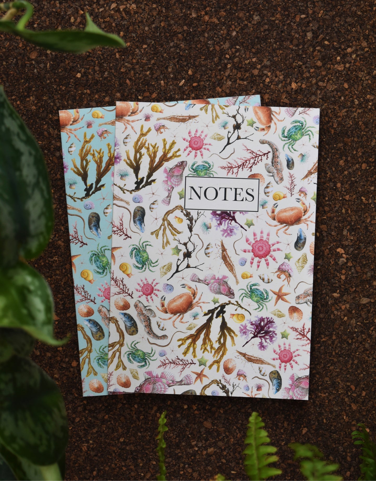 Recycled Rockpool Notebook