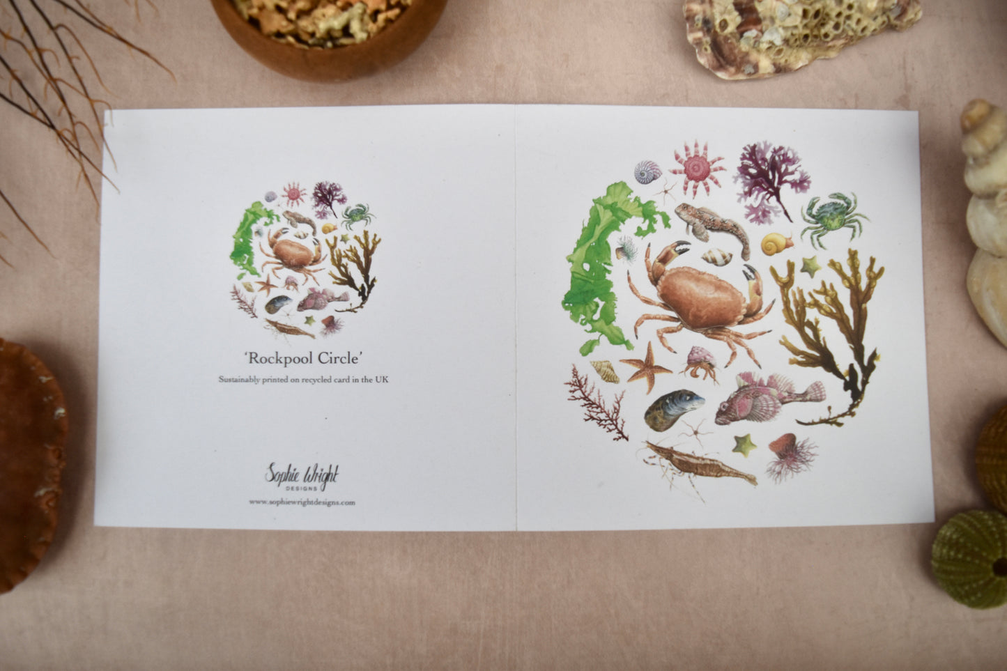 Rockpool Circle Card