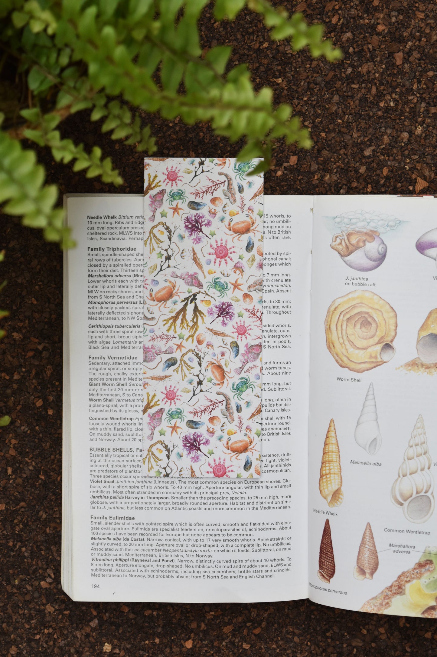 Recycled Cream Rockpool Bookmark