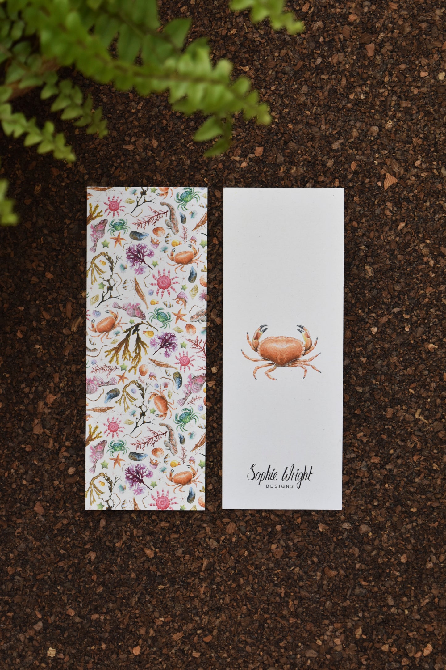 Recycled Cream Rockpool Bookmark