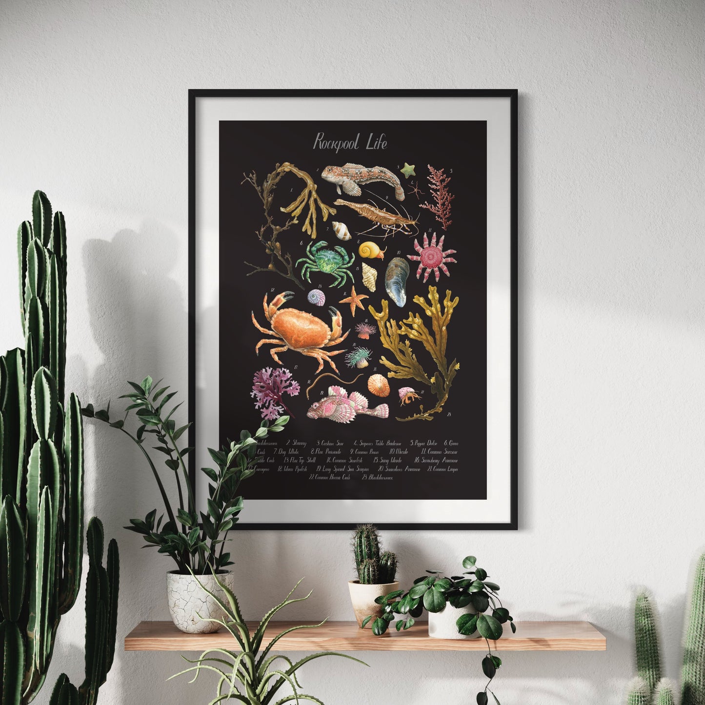 Rockpool Poster - Black Edition