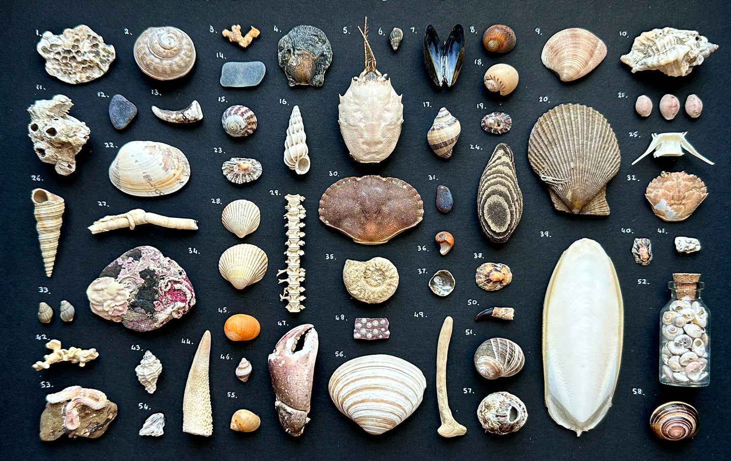 Large Black Curiosity Frame