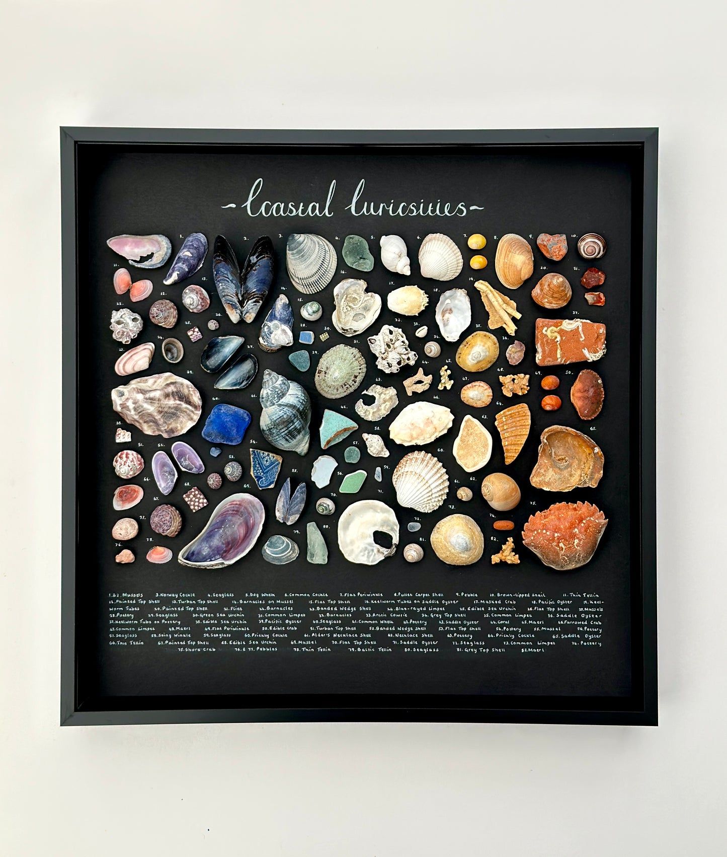 Extra Large Black Curiosity Frame 🌈