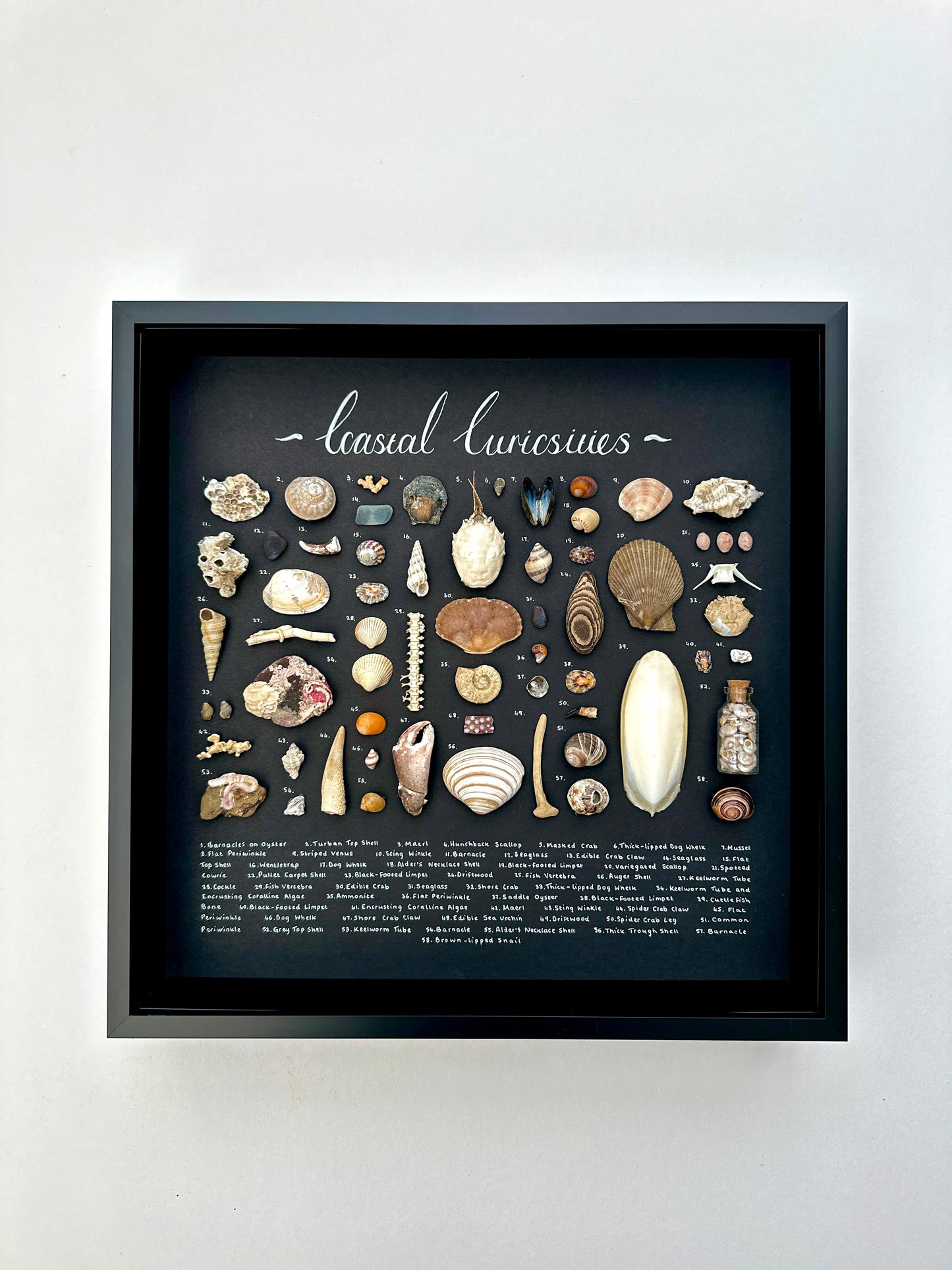 Large Black Curiosity Frame