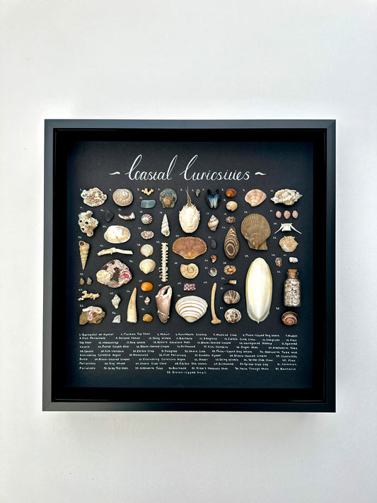 Large Black Curiosity Frame