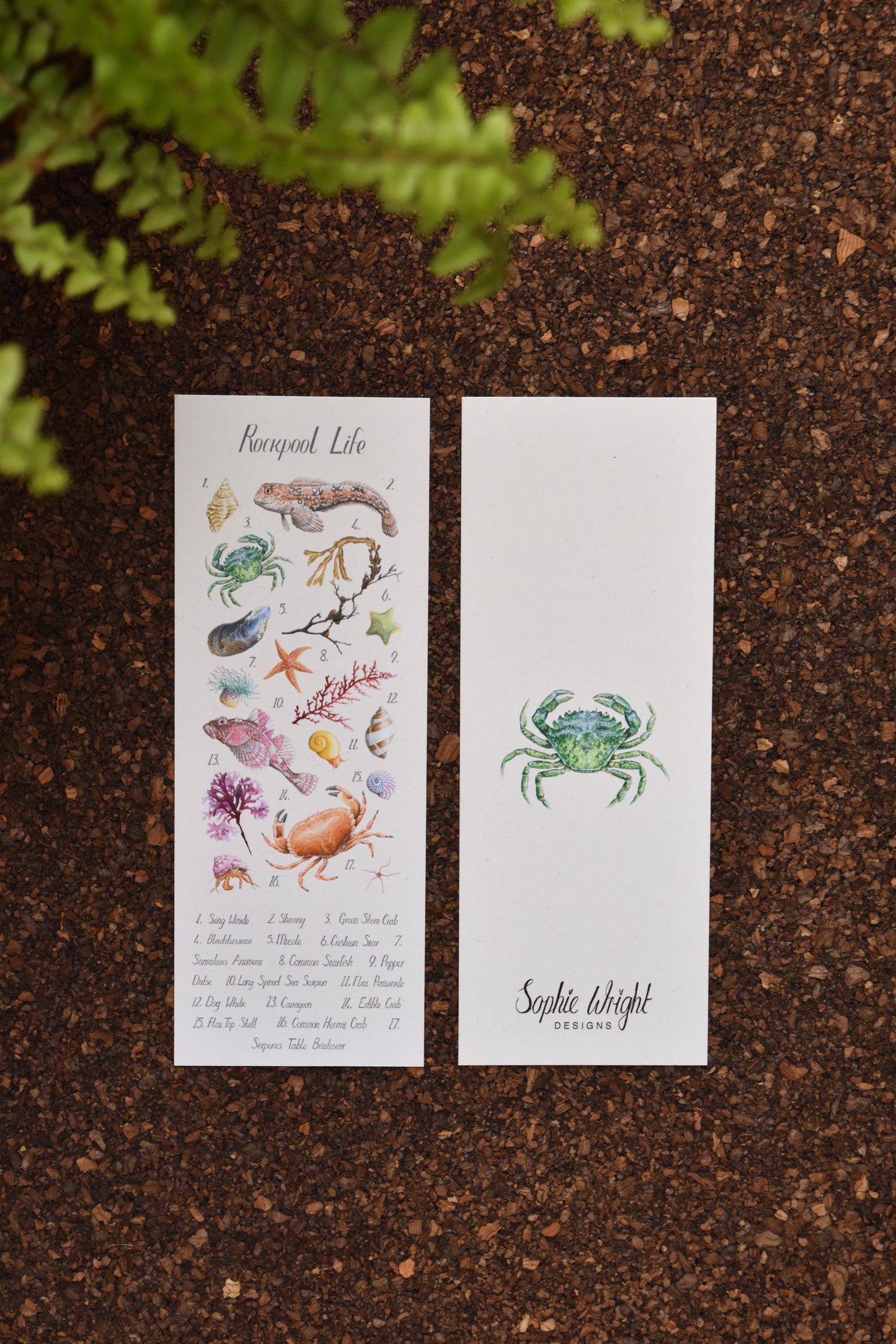 Recycled Rockpool Poster Bookmark