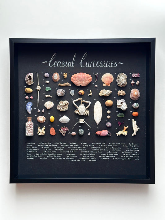 Large Black Curiosity Frame