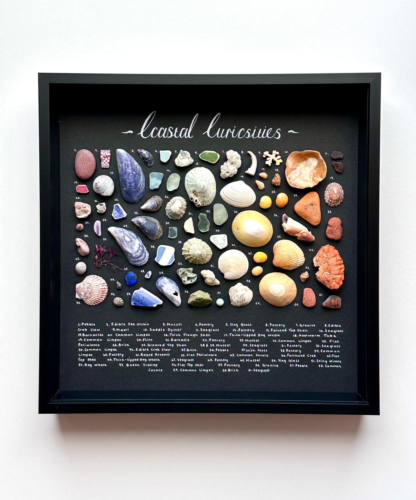 Large Black Curiosity Frame 🌈