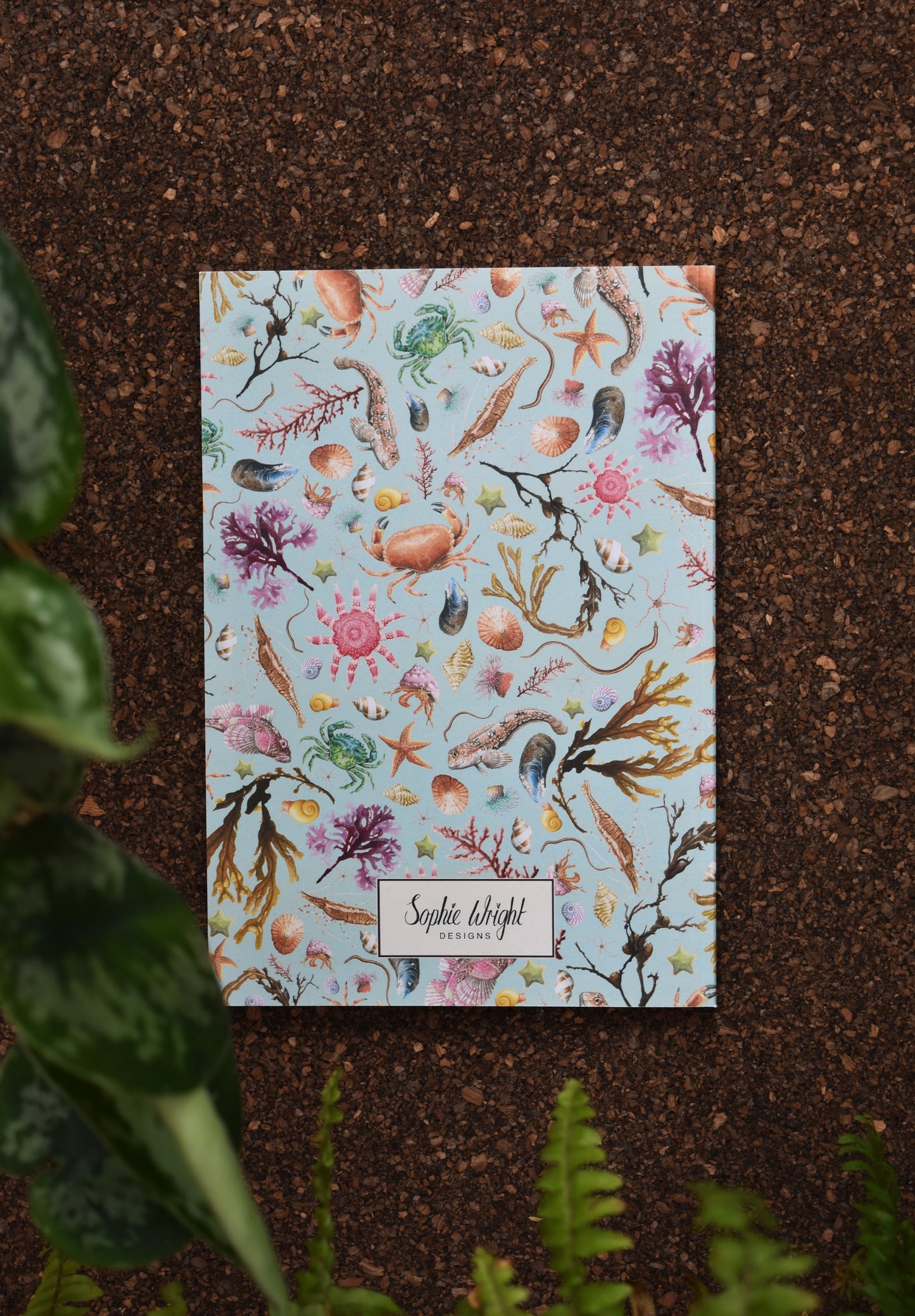 Recycled Rockpool Notebook
