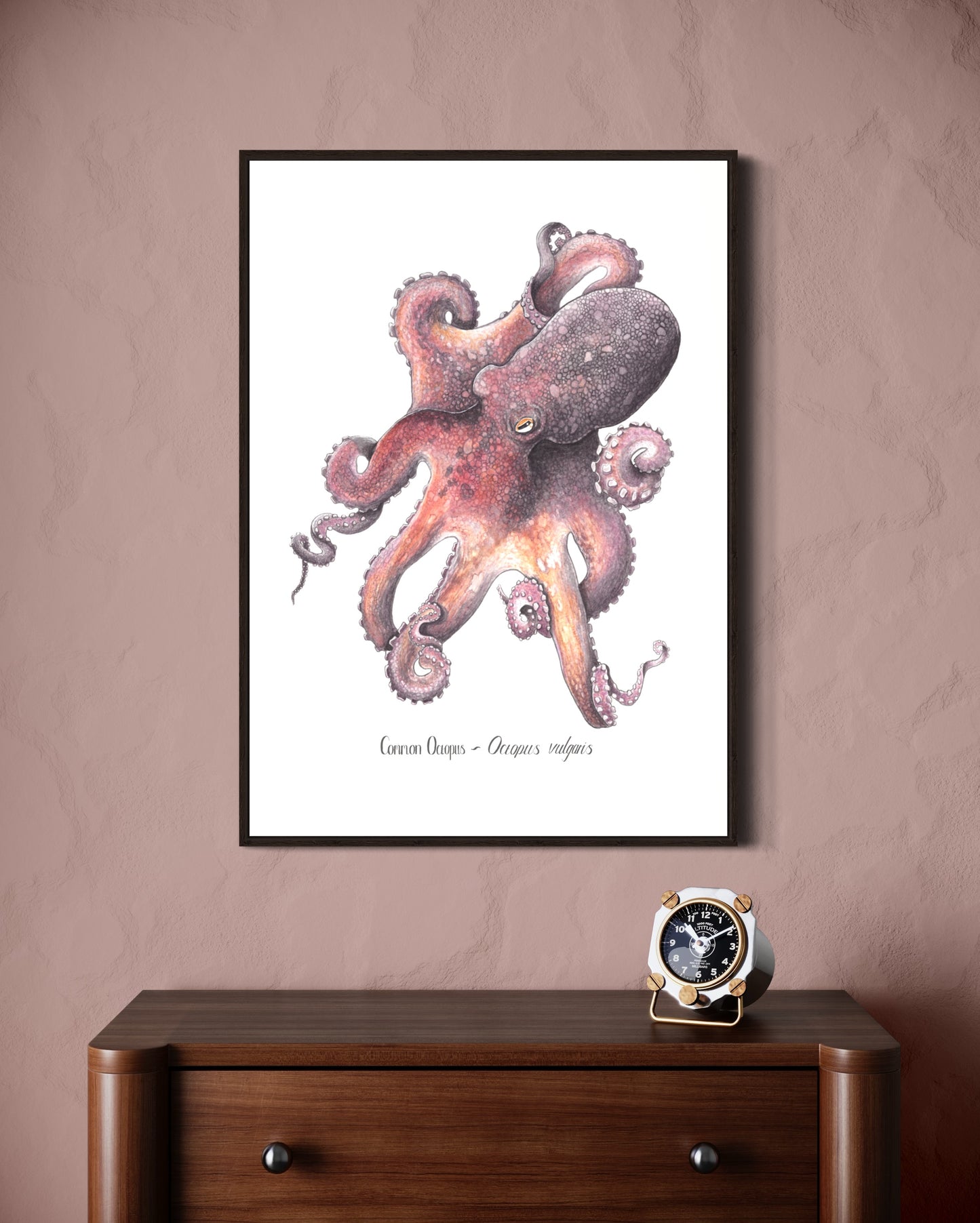 Common Octopus Print