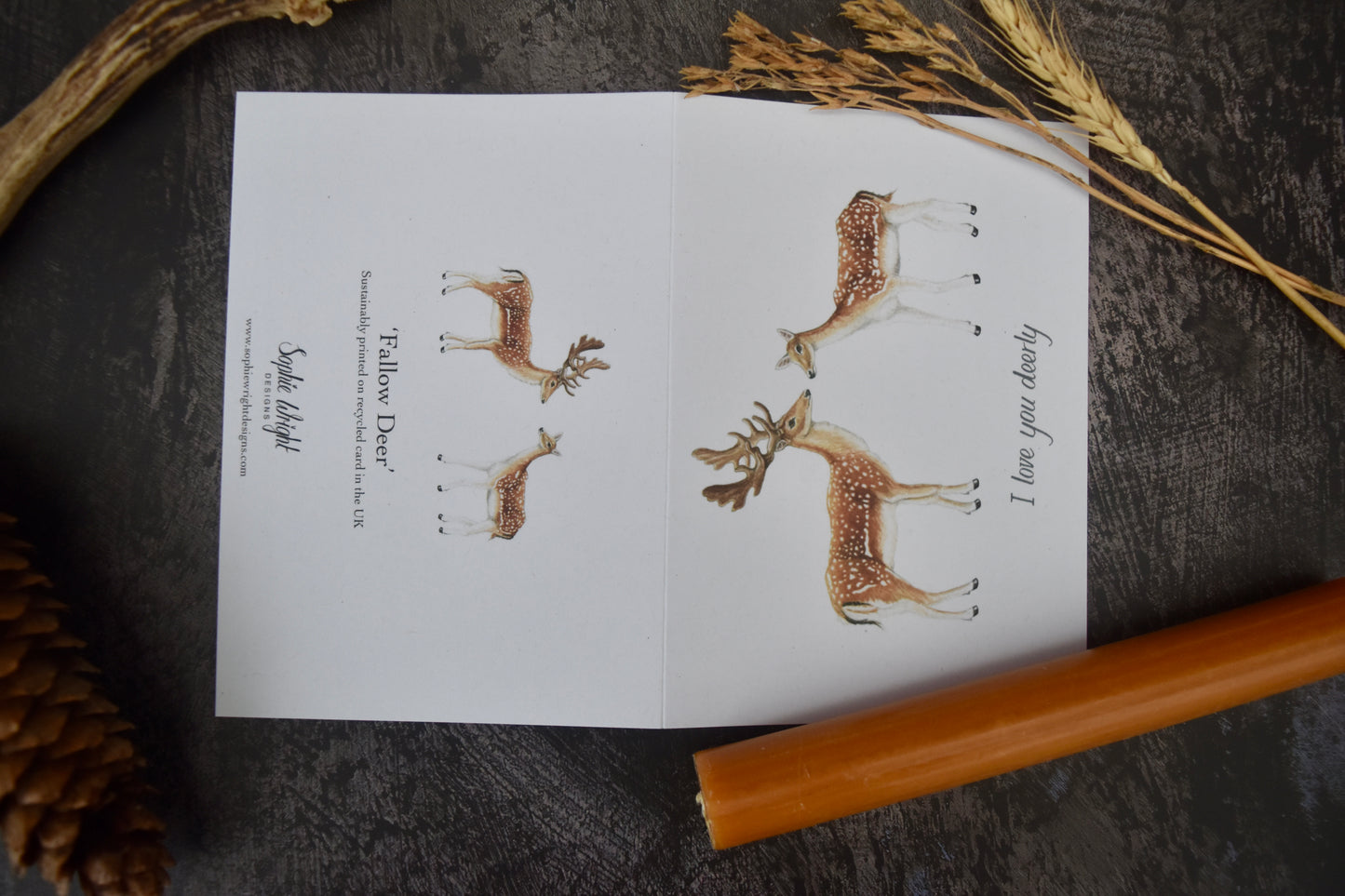 A6 Fallow Deer Card