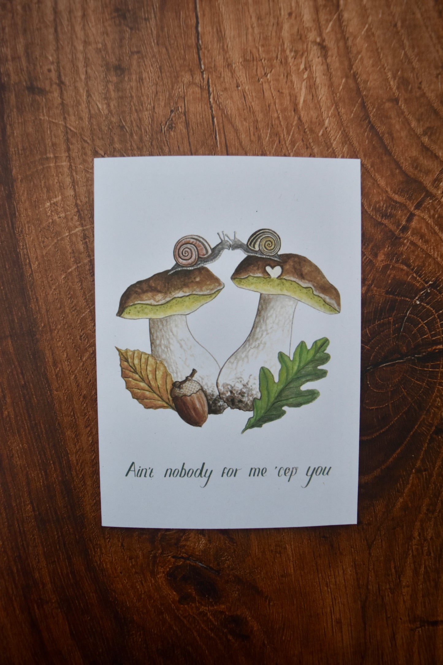 A6 Mushroom ‘CEP’ Card