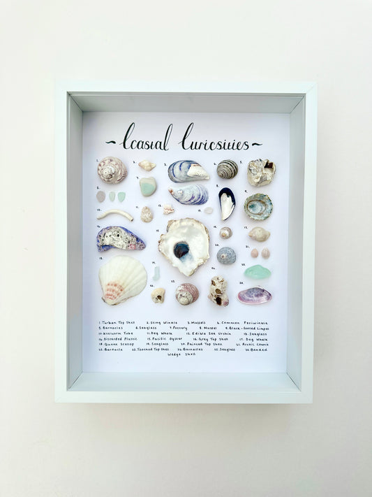 Medium Curiosity Frame