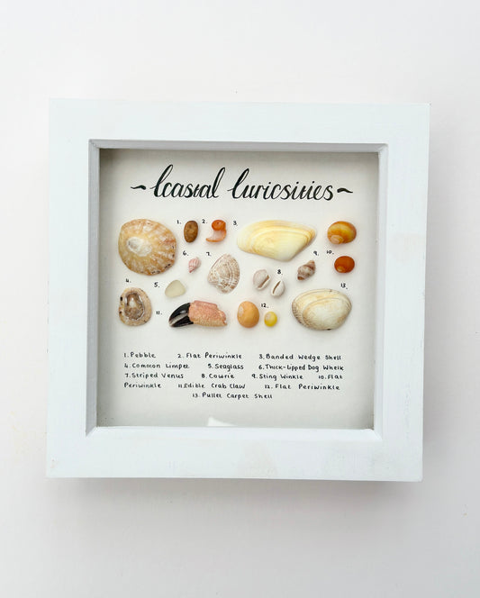 Small White Coastal Curiosities Frame