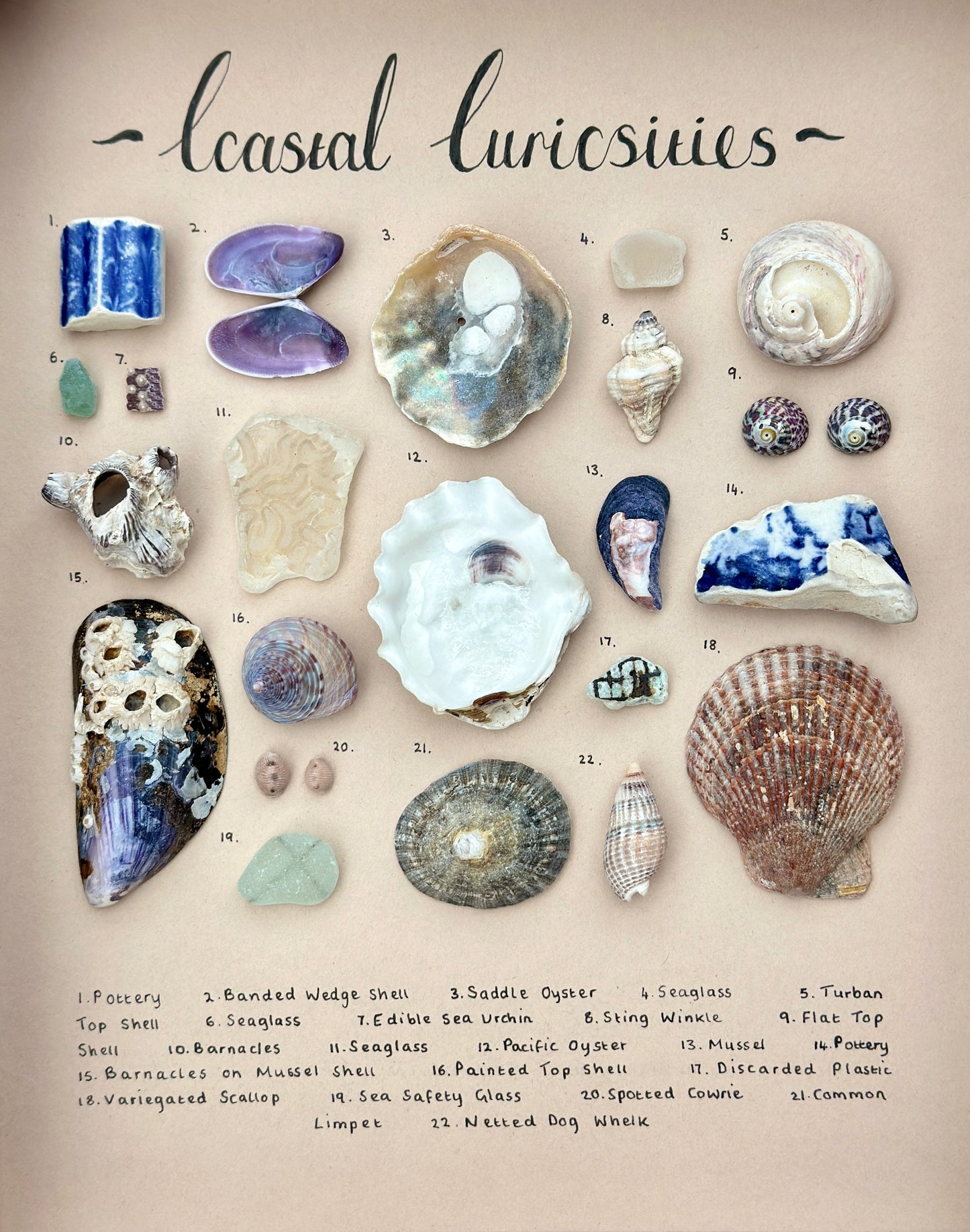 Medium Curiosity Frame