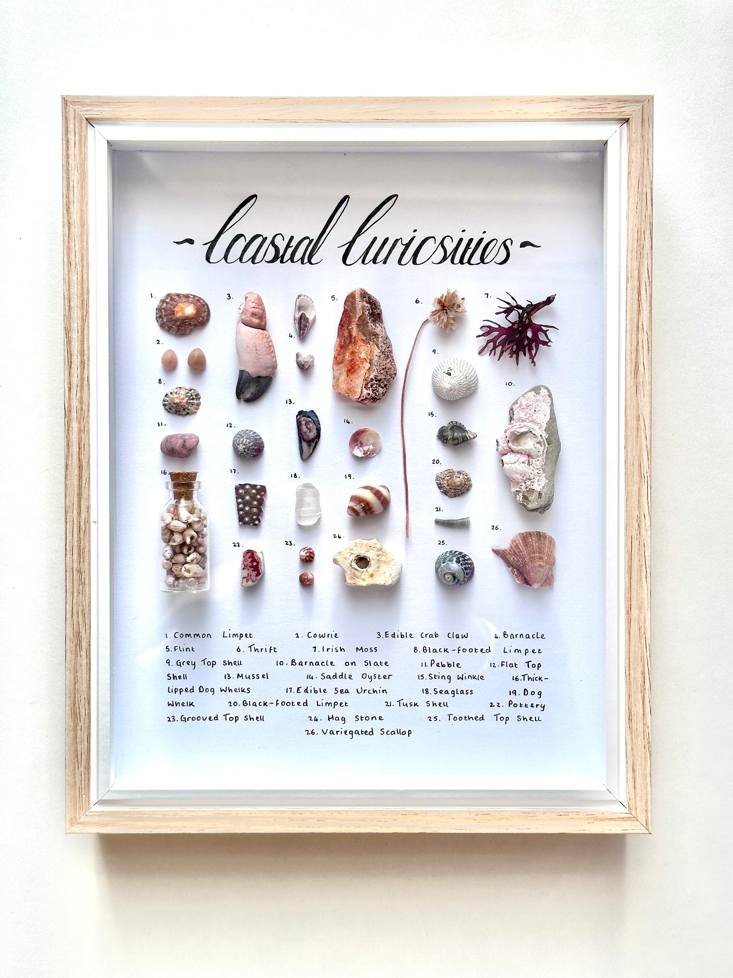 Medium Coastal Curiosity Frame