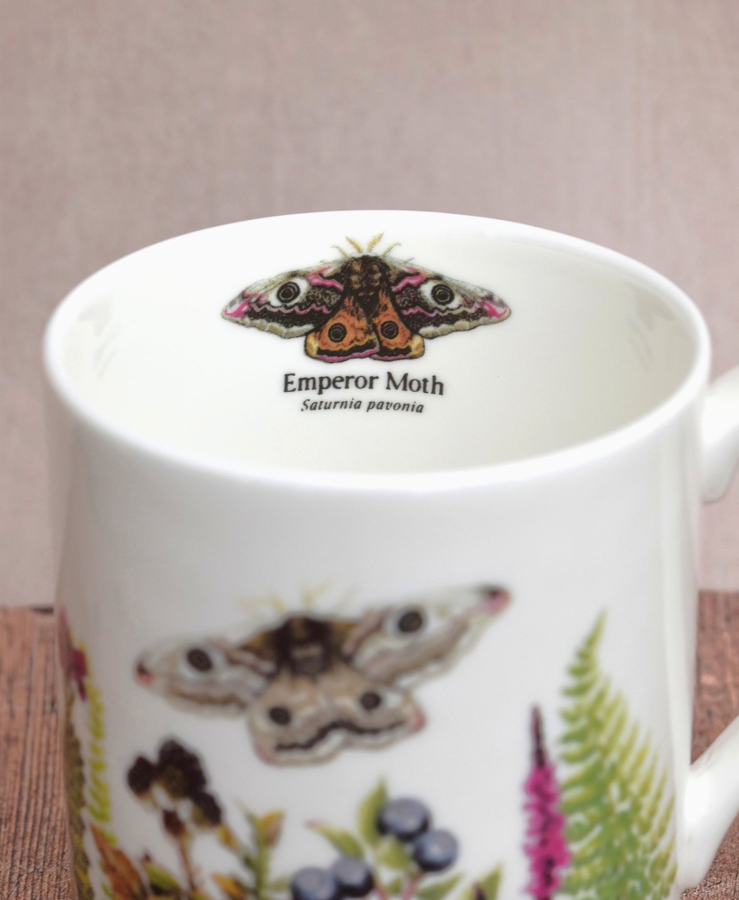 Emperor Moth & Moorland Flora Mug