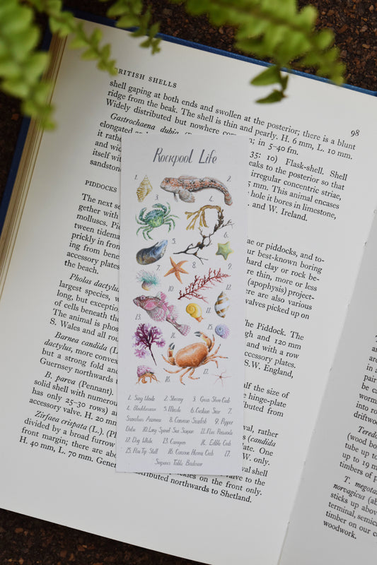 Recycled Rockpool Poster Bookmark
