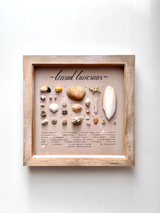 Medium Driftwood Curiosity Frame