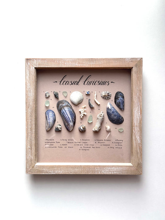 Medium Driftwood Curiosity Frame