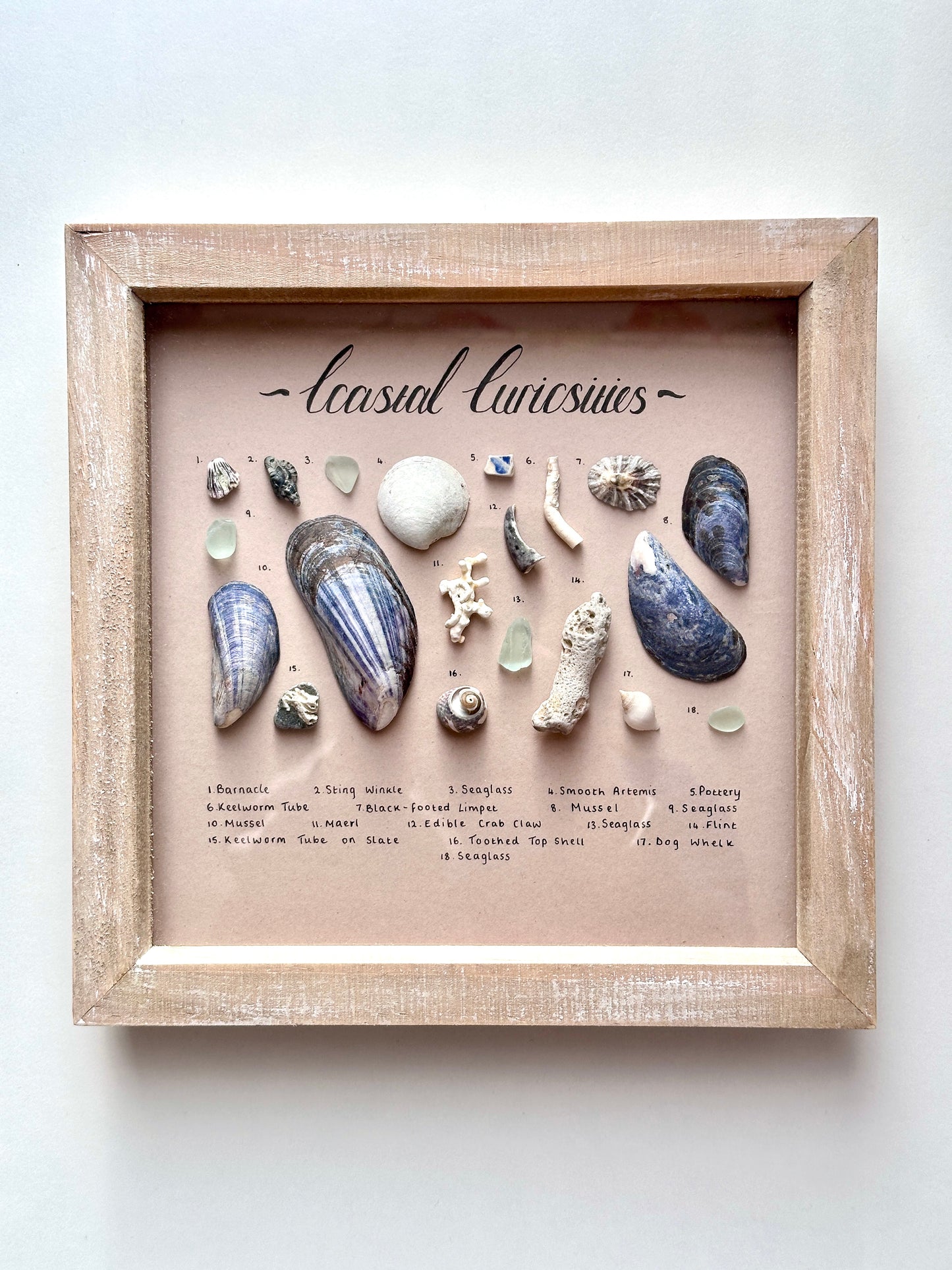 Medium Driftwood Curiosity Frame