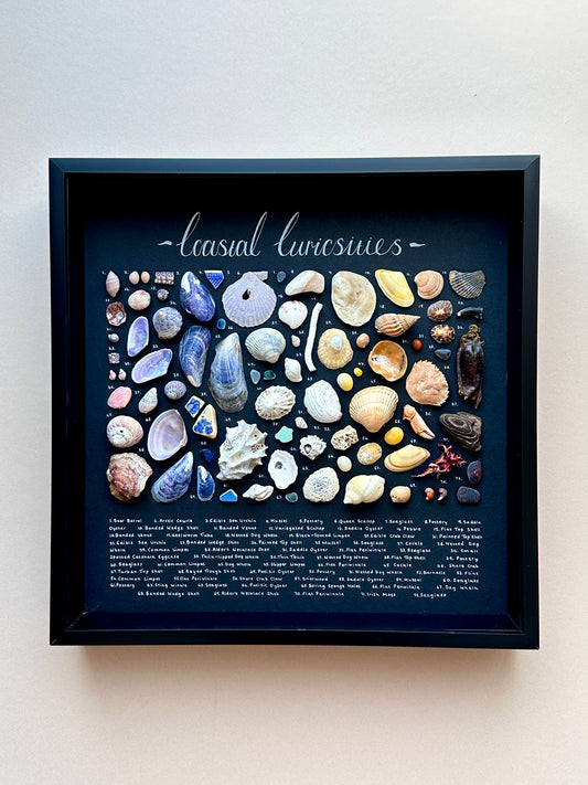 Large Black Curiosity Frame 🌈