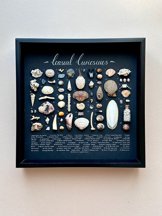 Large Black Curiosity Frame