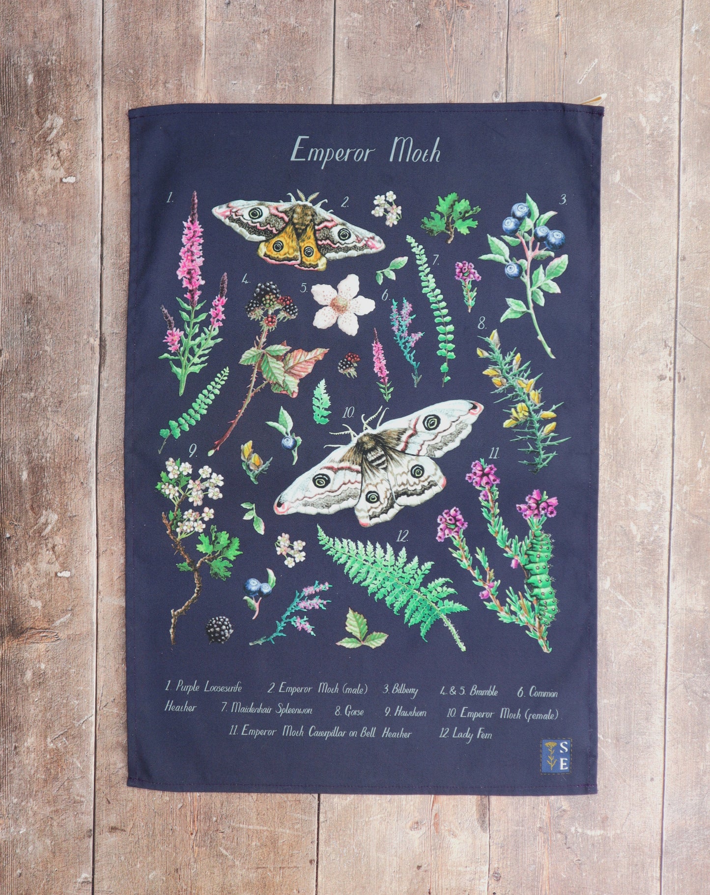 Emperor Moth ID Tea Towel