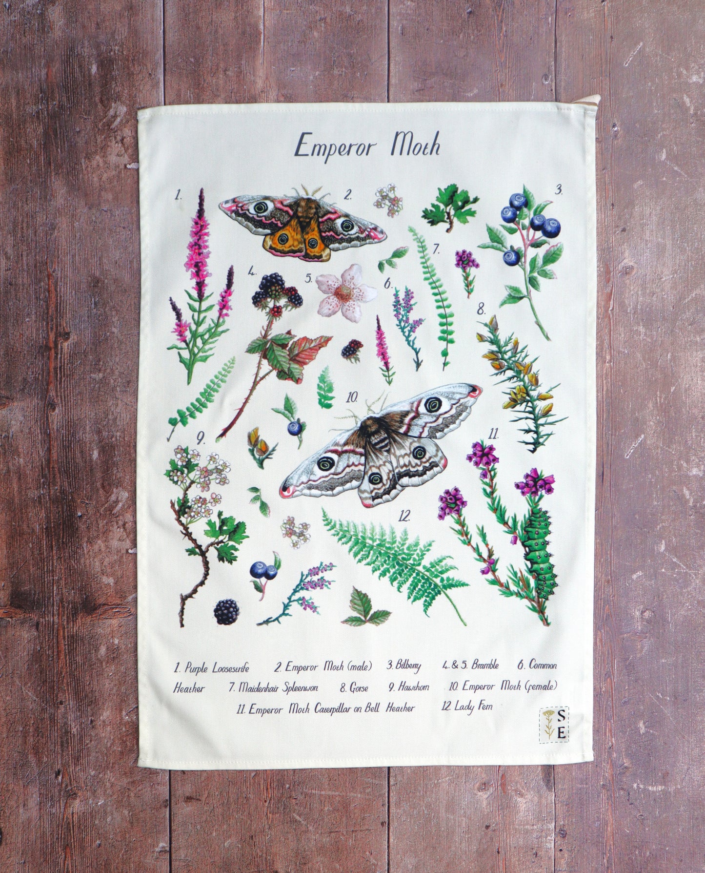 Emperor Moth ID Tea Towel