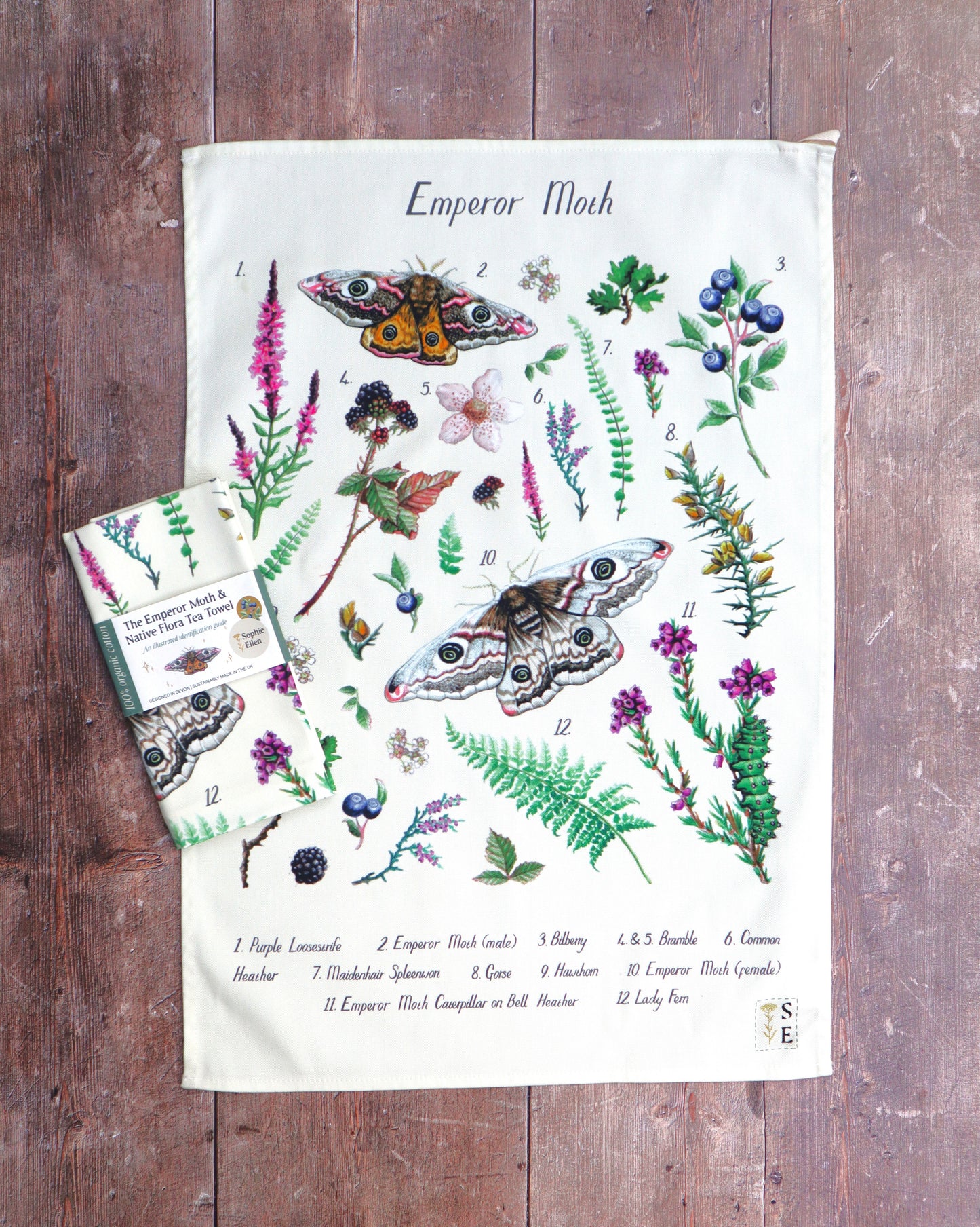 Emperor Moth ID Tea Towel
