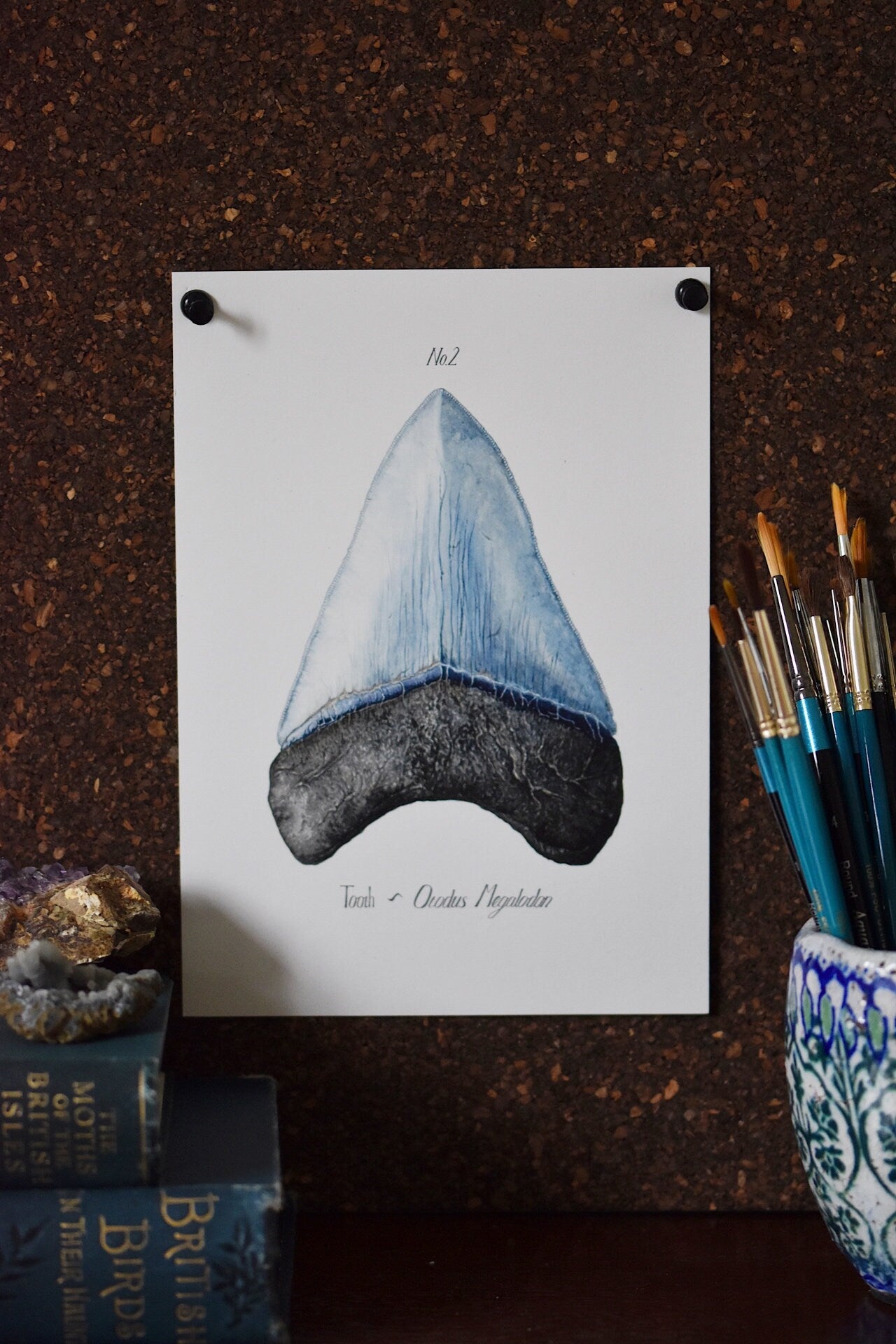 Megladon Tooth, Gouache Watercolour Print