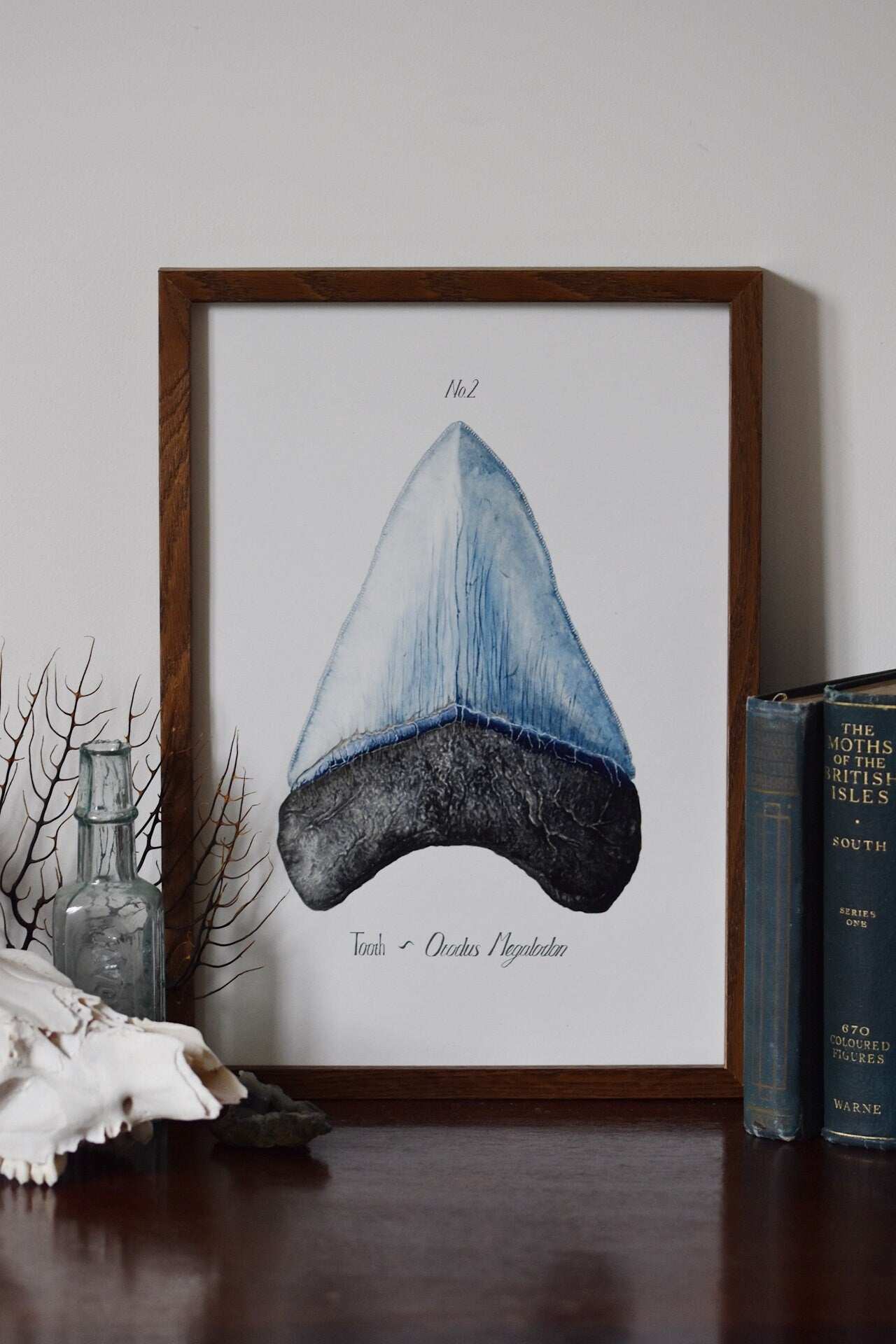 Megladon Tooth, Gouache Watercolour Print